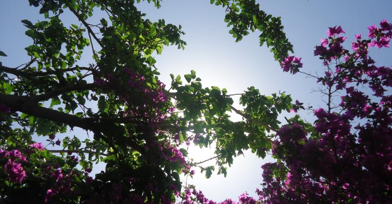 أجواء معتدلة والعظمى في عمّان 23 درجة أجواء معتدلة والعظمى في عمّان 23 درجة