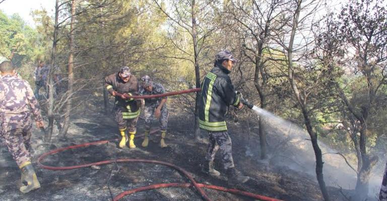 جرش: حريق يأتي على 100 دونم من الأشجار والأعشاب