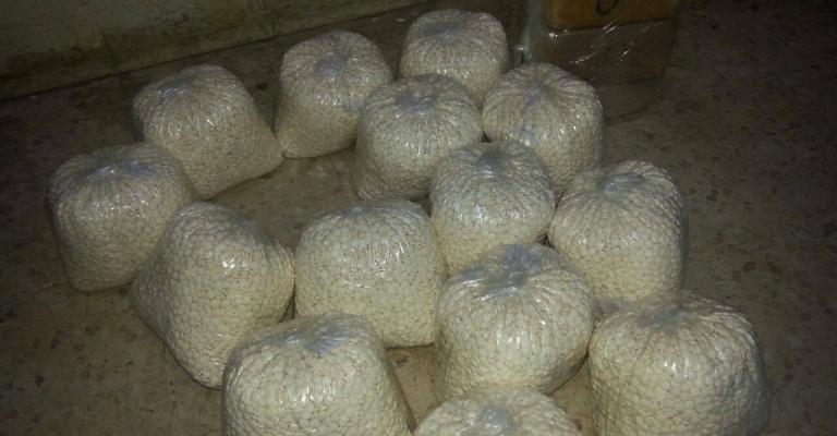 العقبة: إحباط تهريب كمية كبيرة من المخدرات العقبة: إحباط تهريب كمية كبيرة من المخدرات