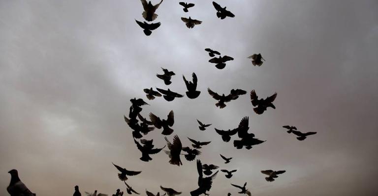 طقس لطيف مع بداية الأسبوع