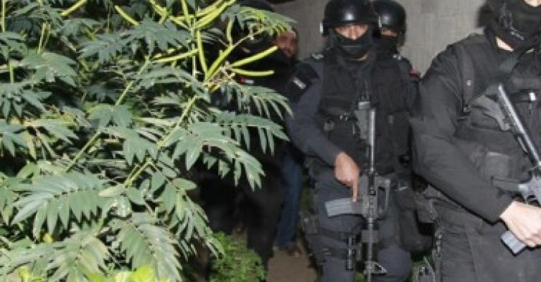 القبض على مطلوب "خطير جداً" بقضايا سرقة مركبات