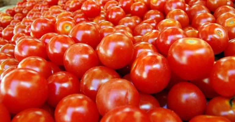 ارتفاع غير مسبوق على أسعار البندورة مع ضعف الجودة