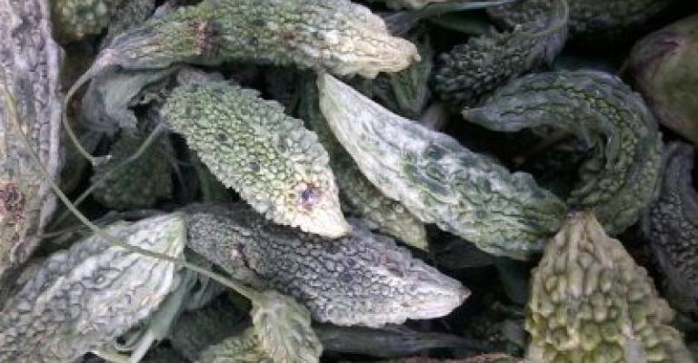 "آسيا مصغرة" في قلب بلدة الظليل.. اهلا "صديق"! "آسيا مصغرة" في قلب بلدة الظليل.. اهلا "صديق"!