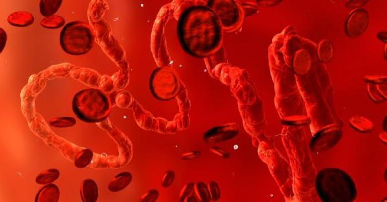 معاناة مرضى اللاشمانيا من اللاجئين السوريين في الأردن معاناة مرضى اللاشمانيا من اللاجئين السوريين في الأردن