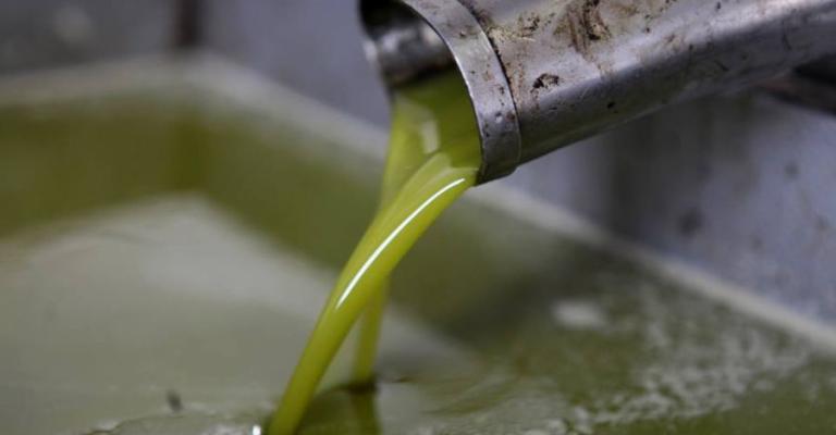 تحذيرات من زيت مغشوش في الأسواق تحذيرات من زيت مغشوش في الأسواق