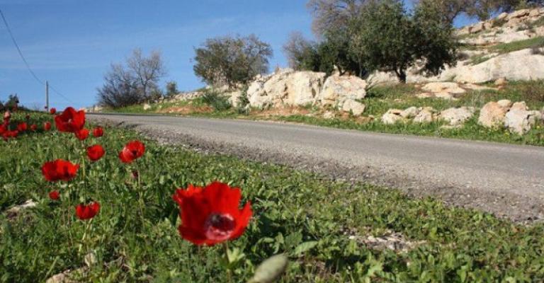 أجواء ربيعية والعظمى في عمان 18 درجة أجواء ربيعية والعظمى في عمان 18 درجة