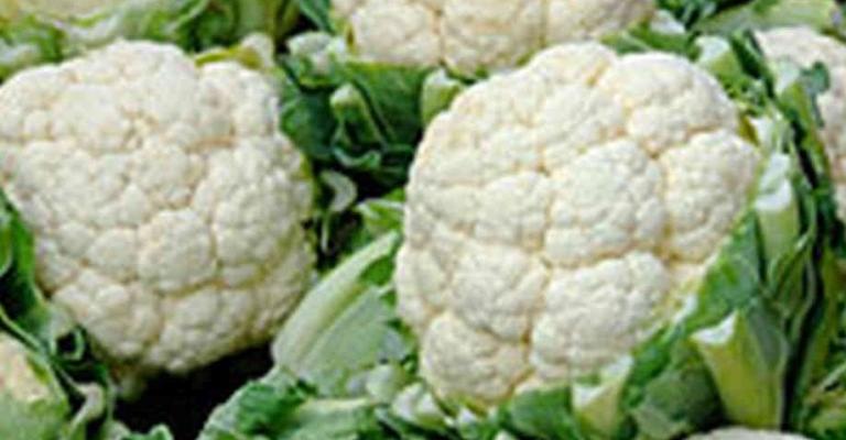 الكويت ترفض إدخال إرسالية خضار أردنية الكويت ترفض إدخال إرسالية خضار أردنية