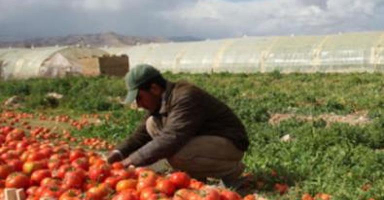 الغذاء والدواء: صلاحية المنتج الصلاحي التصديري للاستهلاك البشري