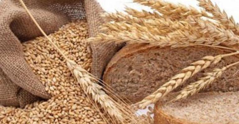 إصابة 1.5% من سكان المملكة بحساسية القمح إصابة 1.5% من سكان المملكة بحساسية القمح