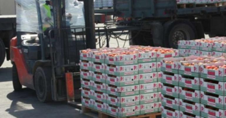 الزراعة: زيادة الصادرات للخليج بـ45%