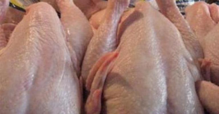 قضية الدجاج الفاسد أمام المدعي العام.. واستمرار دعوات المقاطعة قضية الدجاج الفاسد أمام المدعي العام.. واستمرار دعوات المقاطعة