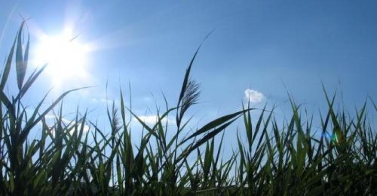 انخفاض طفيف على الحرارة وأجواء حارة نسبيا