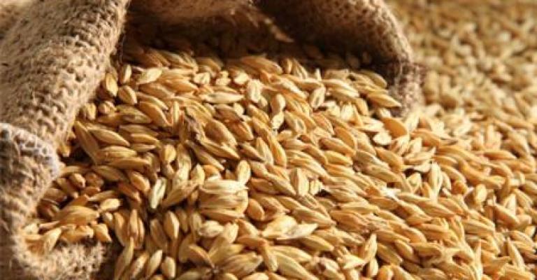 عطاء لشراء 100 ألف طن من القمح عطاء لشراء 100 ألف طن من القمح