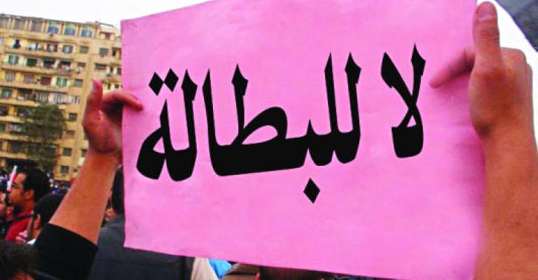 334 الف طلب توظيف سنويا تصل ديوان الخدمة