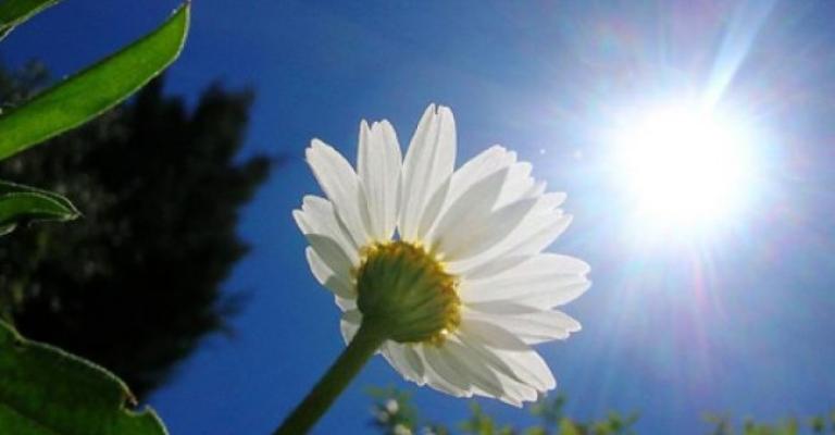 أجواء حارة وجافة والعظمى في عمان 33 درجة