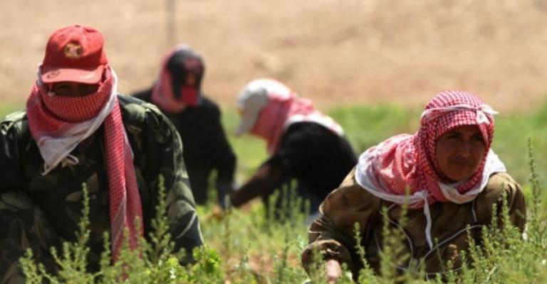 العوران: 10 آلاف مزارع مطلوبون للتنفيذ القضائي