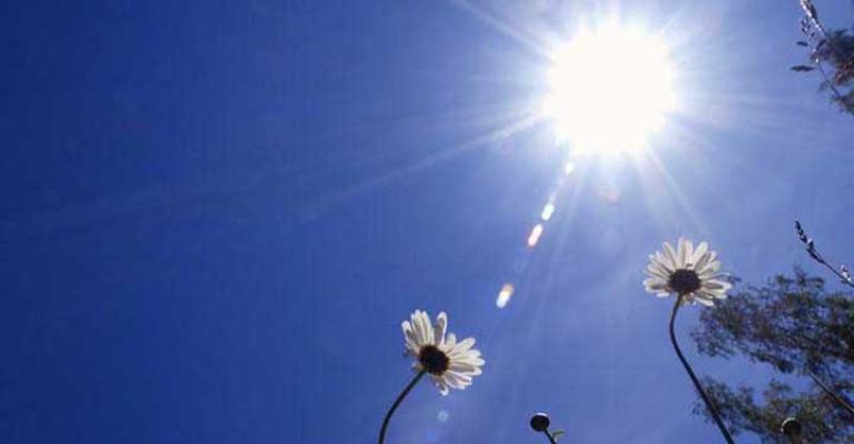 أجواء صيفية والحرارة حول معدلاتها أجواء صيفية والحرارة حول معدلاتها