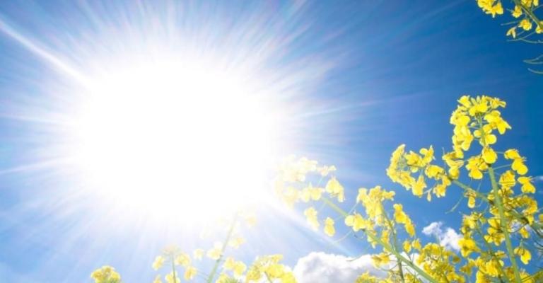 أجواء صيفية نهارا ولطيفة مساء أجواء صيفية نهارا ولطيفة مساء