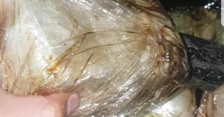 إحباط 3 محاولات تهريب مخدرات إحباط 3 محاولات تهريب مخدرات