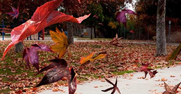 طقس خريفي طقس خريفي