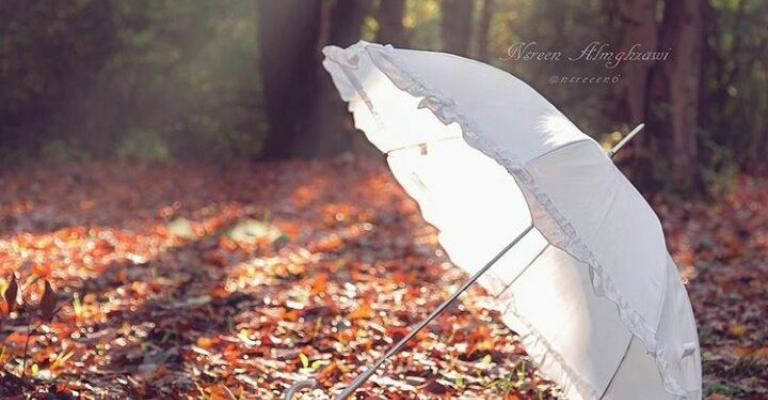 اجواء خريفية معتدلة الحرارة حتى الخميس اجواء خريفية معتدلة الحرارة حتى الخميس