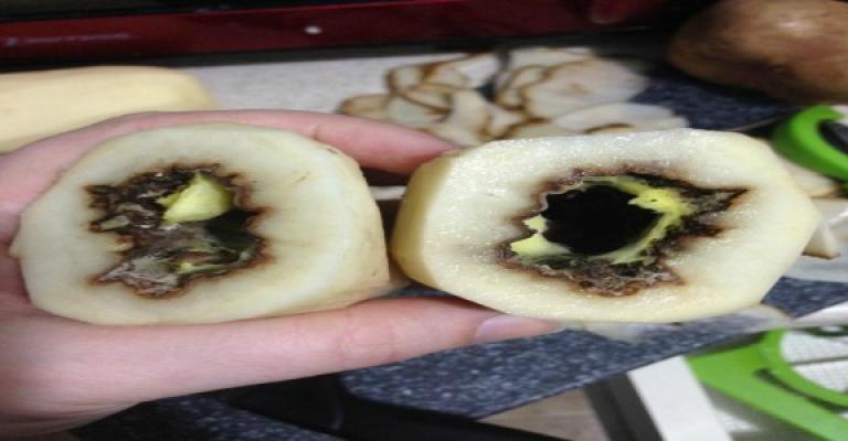 اتلاف خمسة اطنان بطاطا غير صالحة