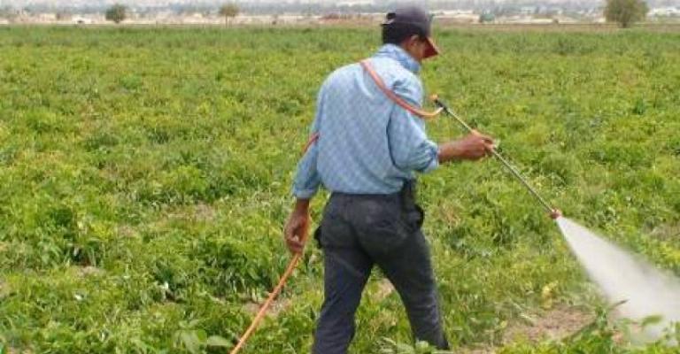 9.3 مليون دينار ما أنفقته مؤسسة الاقراض الزراعي منذ بداية العام