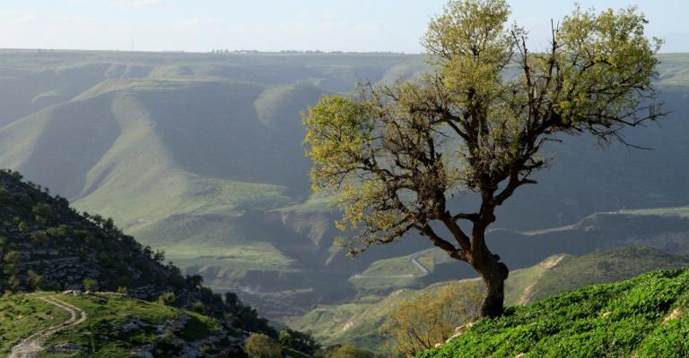 القطاع السياحي..تحديات بالجملة