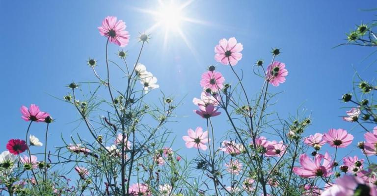 ارتفاع على درجات الحرارة وأجواء دافئة ارتفاع على درجات الحرارة وأجواء دافئة