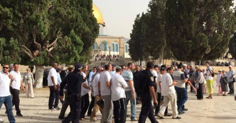 ارتفاع ملحوظ باقتحامات المستوطنين للأقصى ارتفاع ملحوظ باقتحامات المستوطنين للأقصى