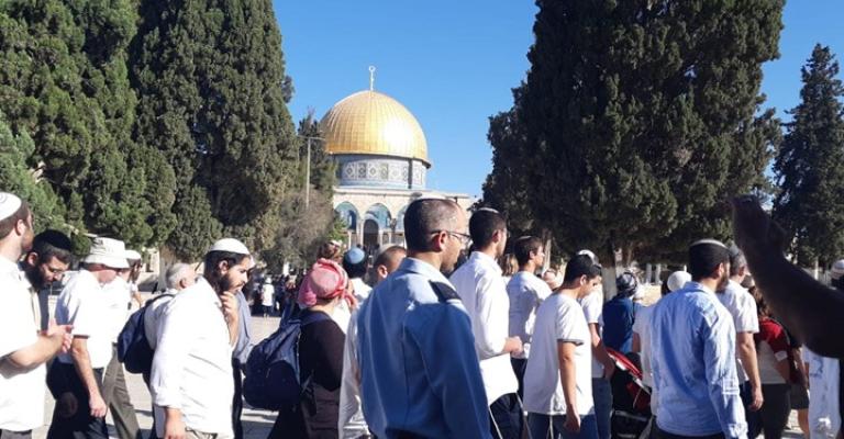 مئات المستوطنين يقتحمون الأقصى بحماية الاحتلال (شاهد)