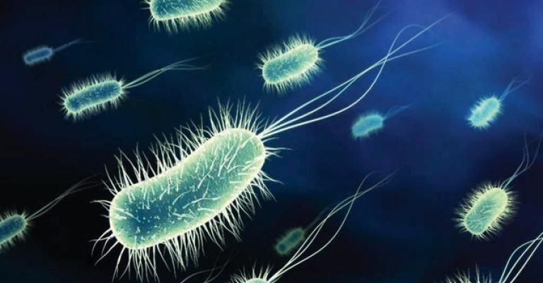 إغلاق فندق في البحر الميت واخلاء 164 نزيلا بسبب تلوث المياه إغلاق فندق في البحر الميت واخلاء 164 نزيلا بسبب تلوث المياه