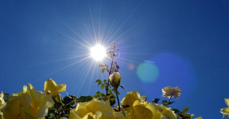 طقس حار طقس حار