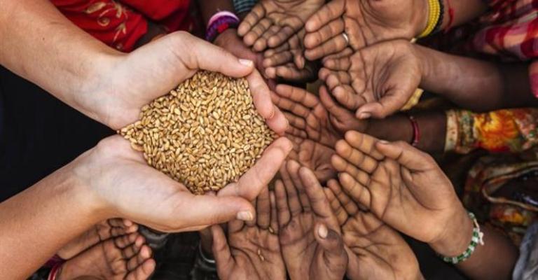 الأمن الغذائي 