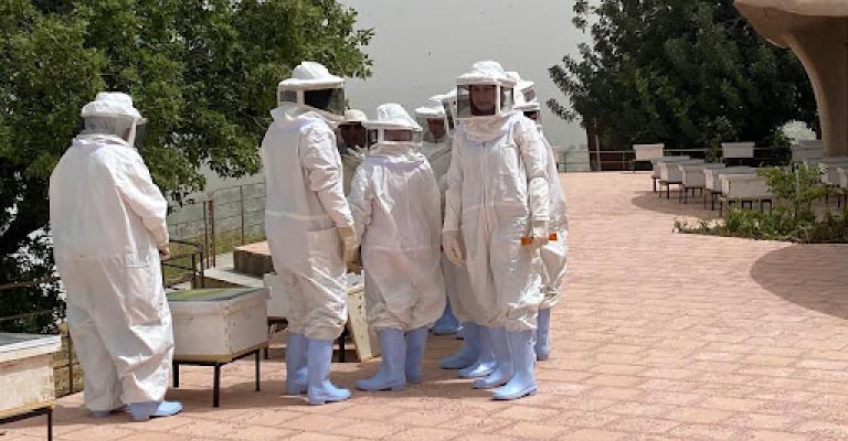 الصورة من مدير محمية اليرموك - محمد ملكاوي