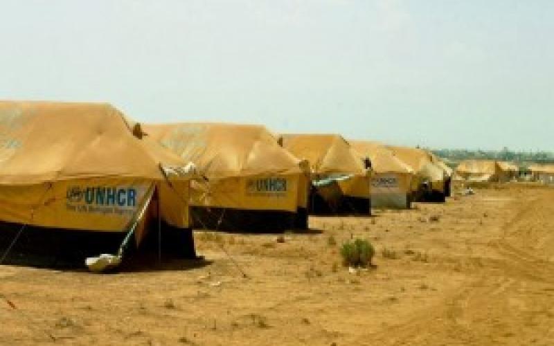 Investigative Report: Syrian refugees subject to undocumented illegal marriages