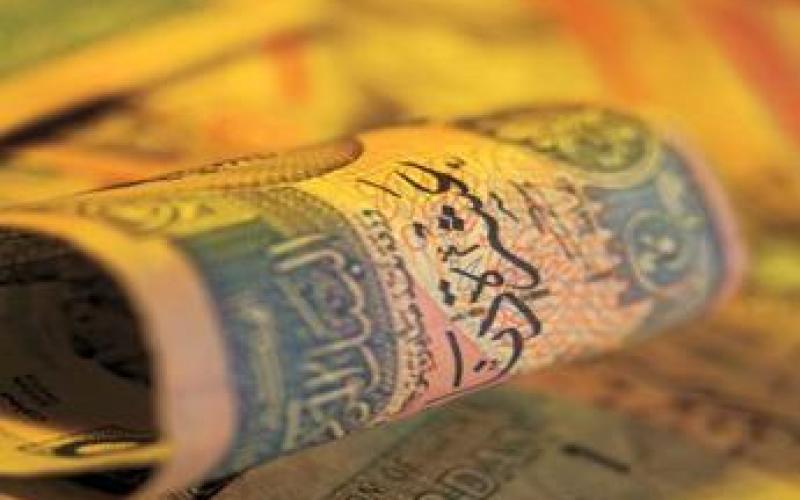 Economists observe contradictions in government's reform actions