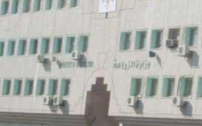 تأجيل النطق بحكم "اختلاسات الزراعة" 