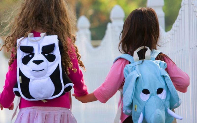 انخفاض نسبة الطلاب الملتحقين في مدارس الحكومة