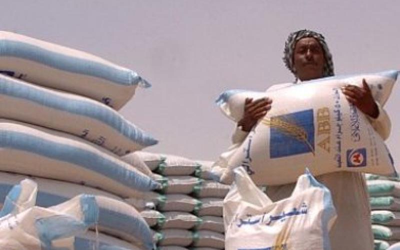 الزراعة تؤكد إعادة النظر بأسعار الأعلاف حال انخفاضها 