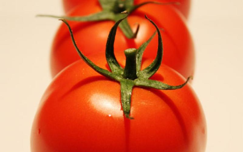 ارتفاع أسعار الخضروات