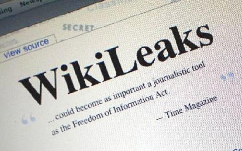AmmanNet, Radio Al-Balad offer help to WikiLeaks