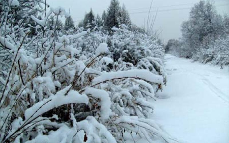 Snow expected at high elevations on Tuesday