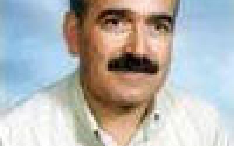 احترام النهيق والنهيق الآخر