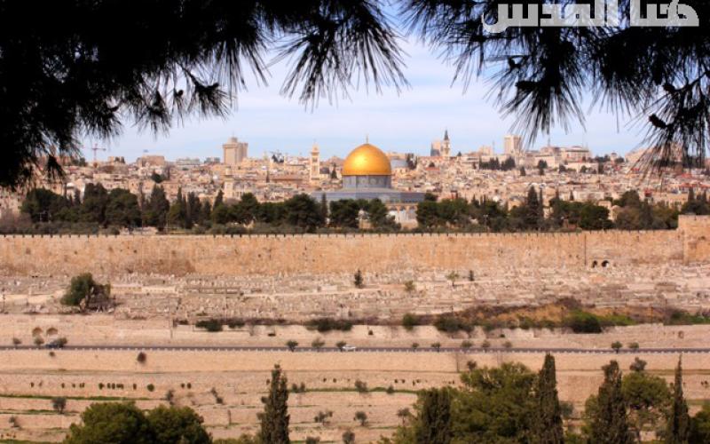  أوتشا: 13% فقط مسموح للبناء والتوسع الفلسطيني بالقدس