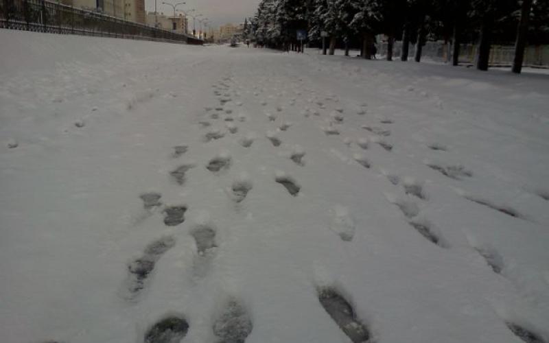 خطوات على الثلج