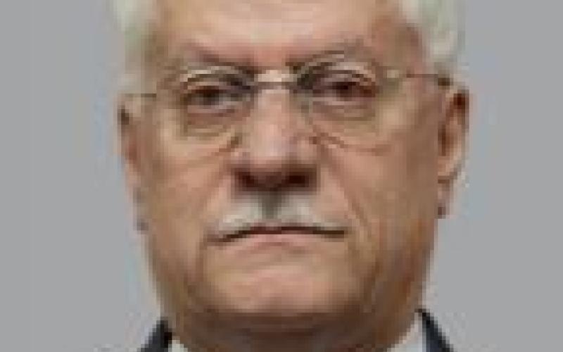  تشكيل حكومة برلمانية 