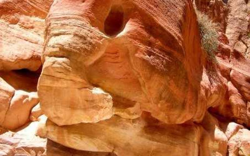 بعد غياب لـ45 عاما.. الحكومة تتحقق من هوية مفقود في البتراء