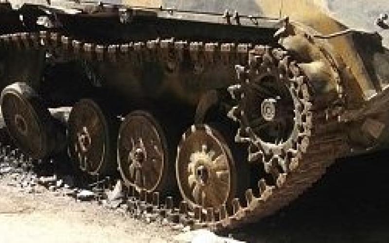 انفلونزا الجنازير