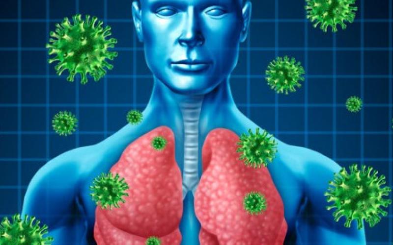 الاشتباه بـ15 إصابة بالكورونا..وحليب الجمال ناقل أساسي للمرض